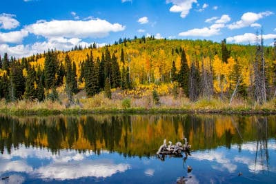 Grand Mesa National Forest
