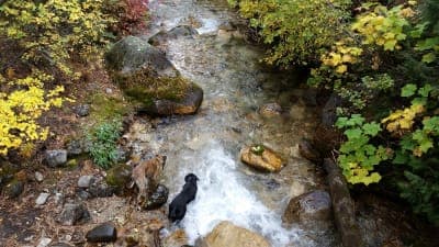 Grandjean Campground