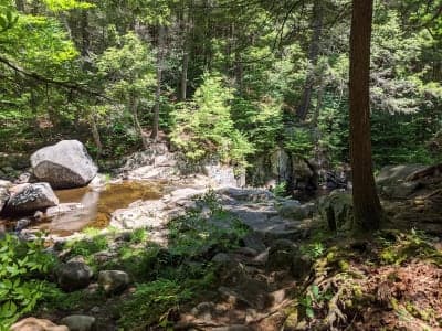 Granville State Forest