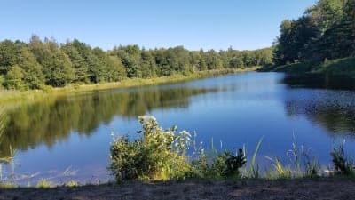 Granville State Forest