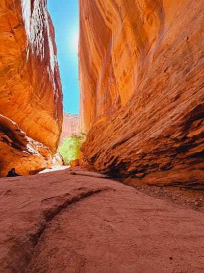Grand Staircase-Escalante National Monument / Backcountry Stock Routes