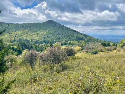 Grayson Highlands State Park
