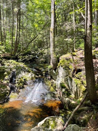Granville State Forest