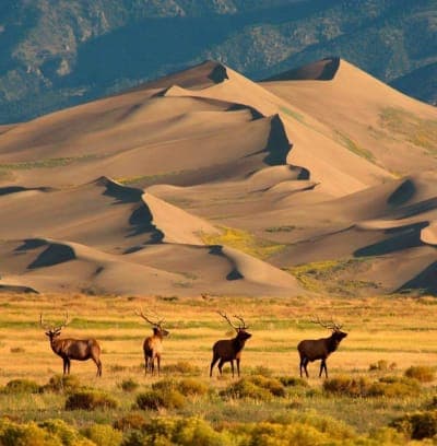 Great Sand Dunes National Park & Preserve