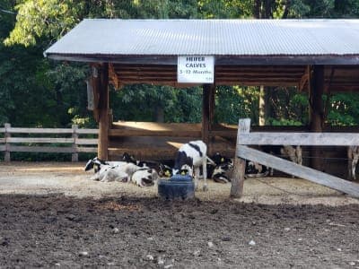 Great Brook Farm State Park