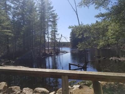 Great Brook Farm State Park