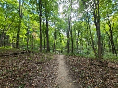 Great Seal State Park