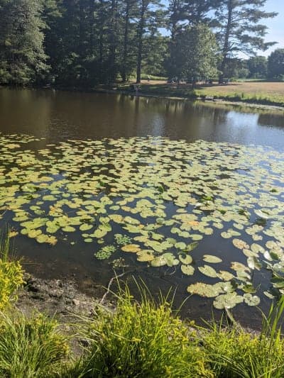 Great Brook Farm State Park