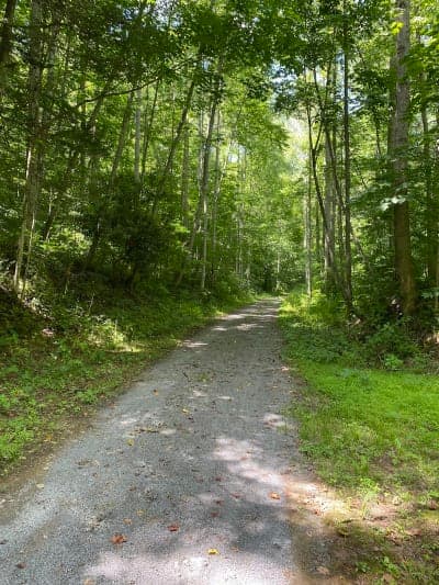 Greenbrier River Trail