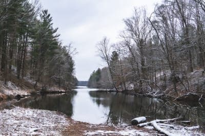 Greene-Sullivan State Forest