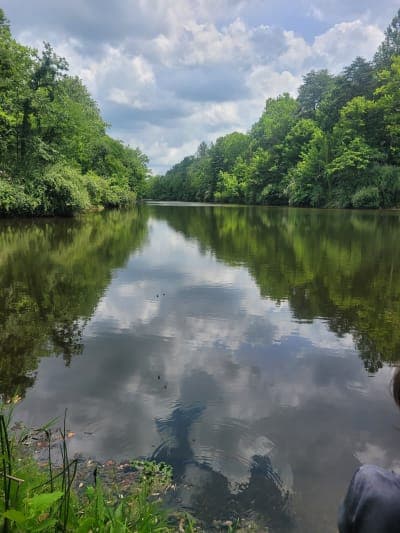 Greene-Sullivan State Forest
