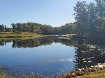 Greene-Sullivan State Forest