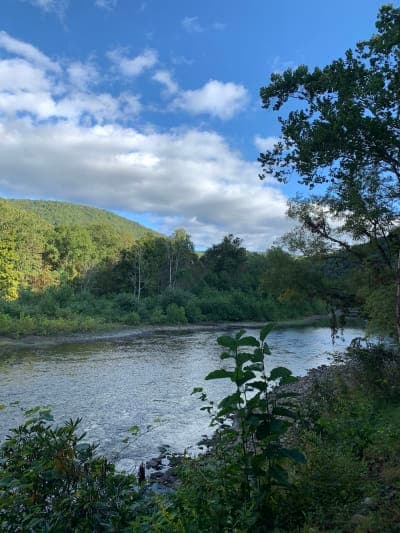 Greenbrier River Trail