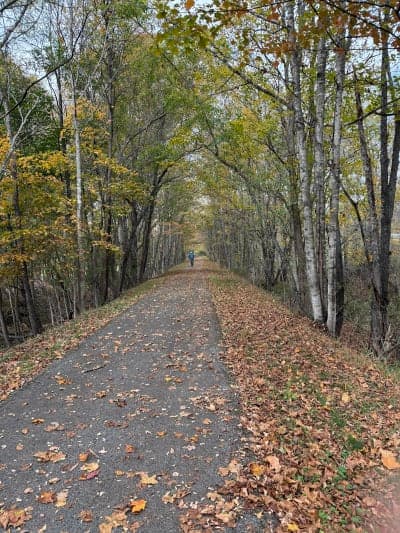 Greenbrier River Trail