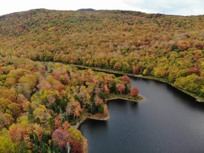 Green Mountain National Forest
