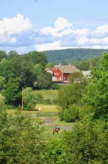 Green Mountain Horse Association