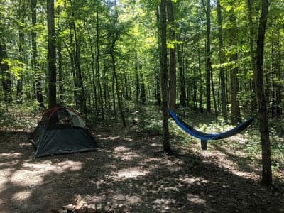 Green Ridge State Forest