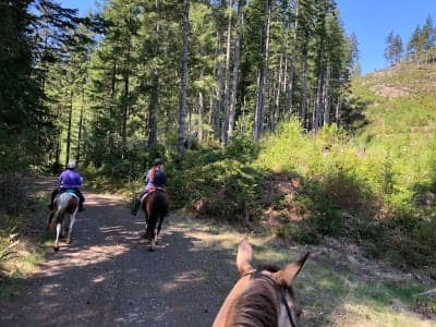 Green Mountain Horse Camp