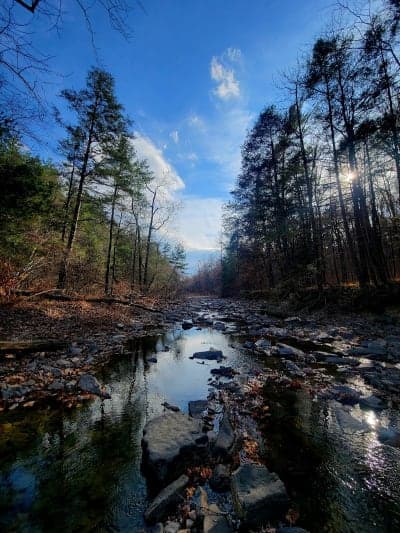 Green Ridge State Forest