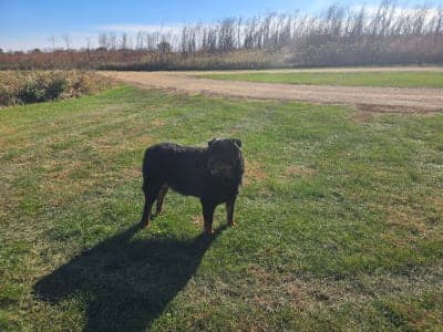 Green River State Wildlife Area