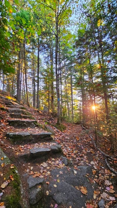 Groton State Forest