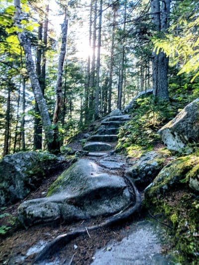 Groton State Forest