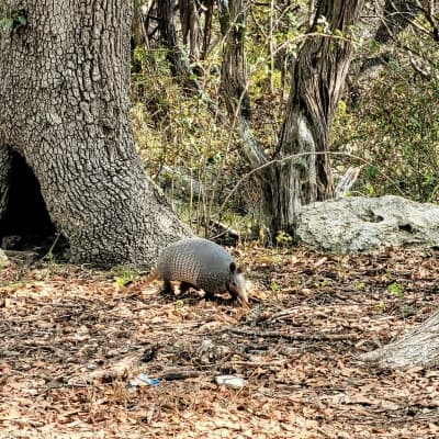Guadalupe River State Park