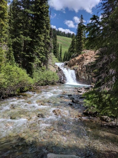 Gunnison National Forest