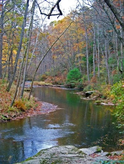 Gunpowder Falls State Park - Hereford Area