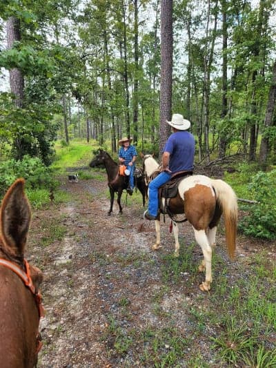 Gum Springs Horse Camp and Trails