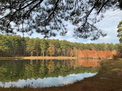 Gum Springs Horse Camp and Trails