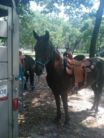 Gum Springs Horse Camp and Trails