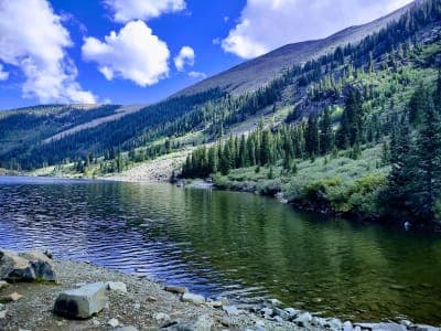Gunnison National Forest