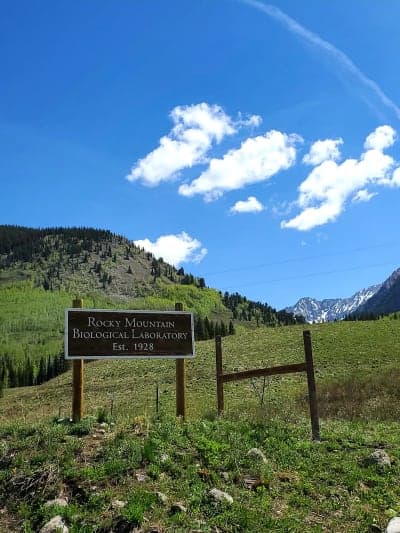 Gunnison National Forest