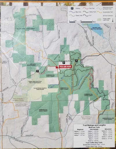 Hammond Hill State Forest