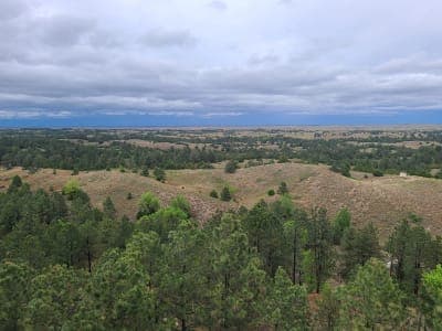Halsey National Forest Recreation Area