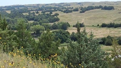 Halsey National Forest Recreation Area