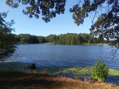Hamilton County State Fish & Wildlife Area
