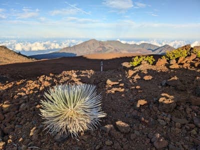 Haleakalā National Park (Maui)