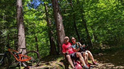 Hammond Hill State Forest