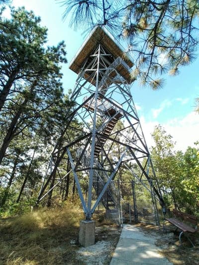 Halsey National Forest Recreation Area