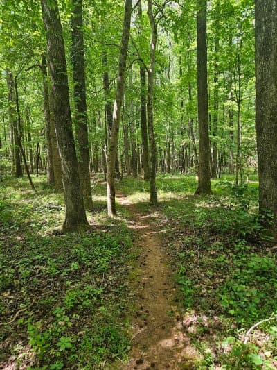 Hard Labor Creek State Park