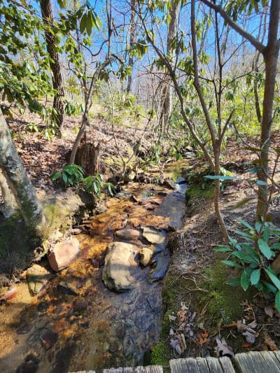 Hanging Rock State Park – Tory's Den Parking Area