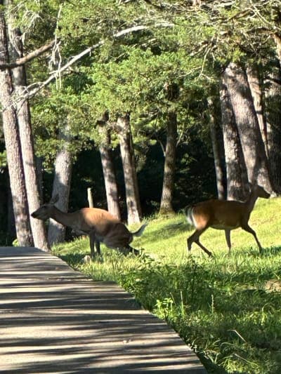 Harrison Bay State Park
