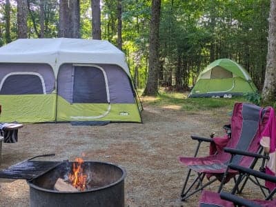Harold Parker State Forest