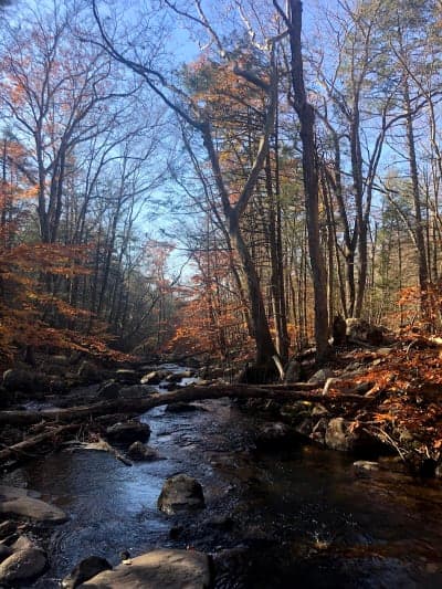 Harriman State Park