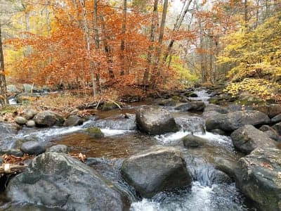 Harriman State Park