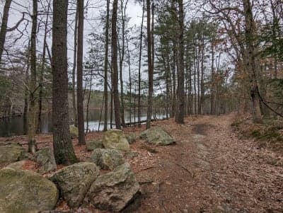Harold Parker State Forest