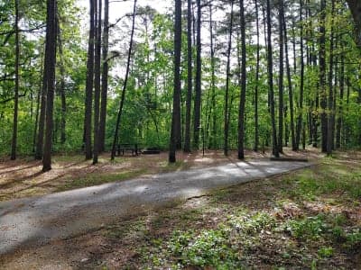 Harmon Springs Trailhead