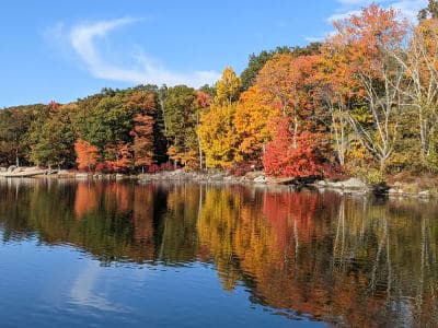 Harriman State Park